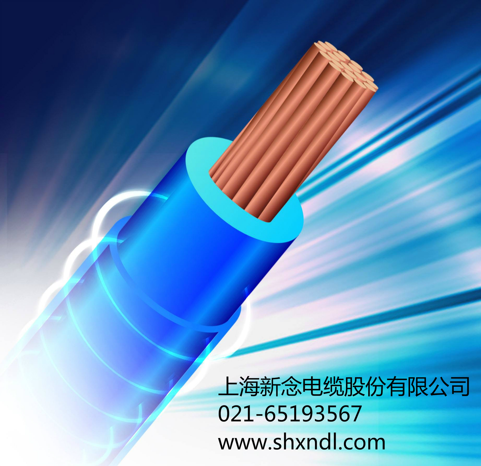 针对分支电缆情况概述-上海新念电线电缆